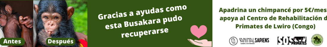 SOS PRIMATES APADRINA