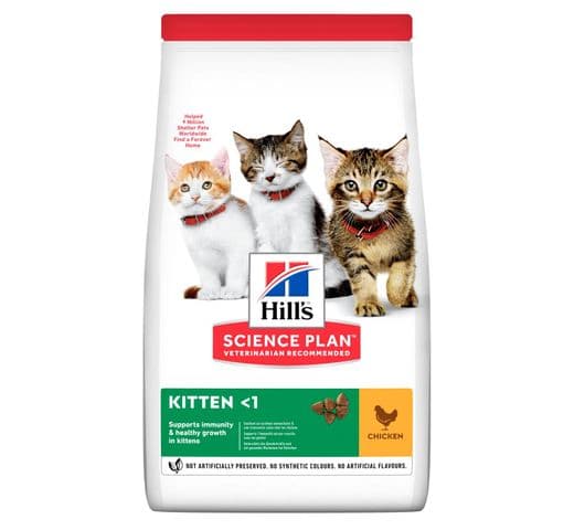 Pinso Hills kitten pollastre 1