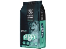Animal Sapiens perro puppy fresco